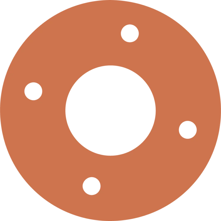 Circular Flange Gasket With Holes